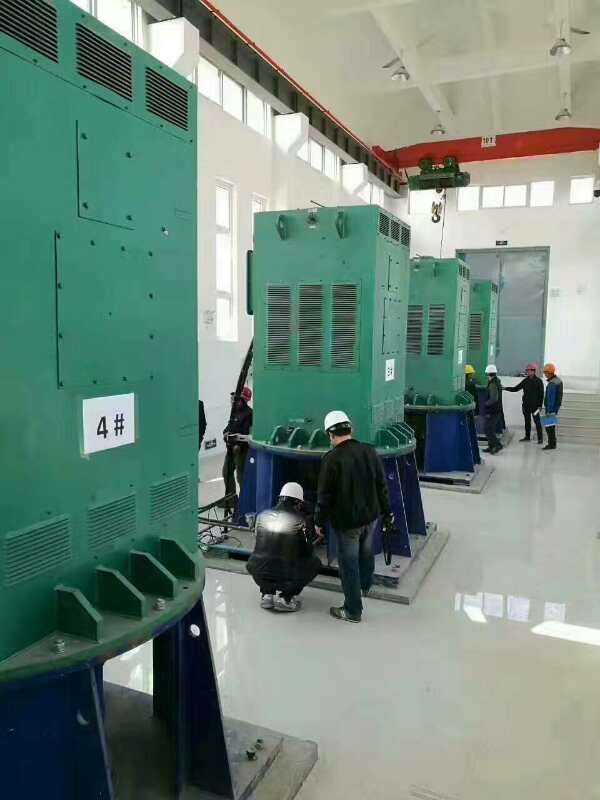 Y710-12某污水处理厂使用我厂的立式高压电机安装现场报价